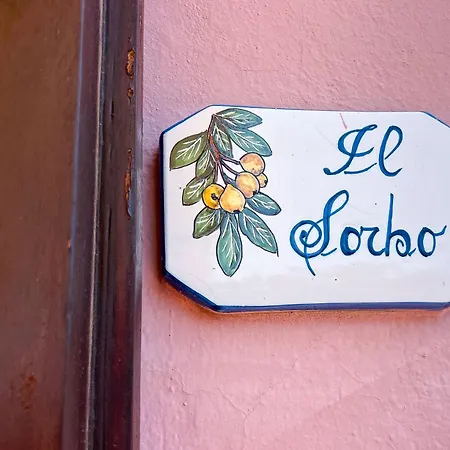 Il Micio 度假居 *