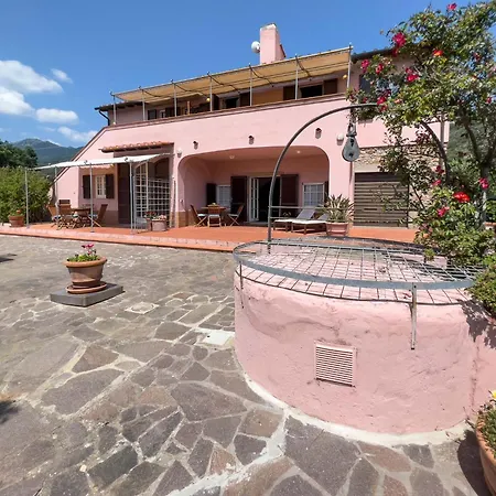 Il Micio * Marciana (Isola d'Elba)