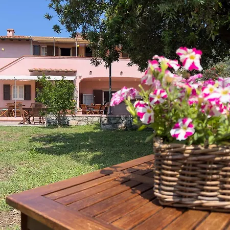 Il Micio Tatil Evi