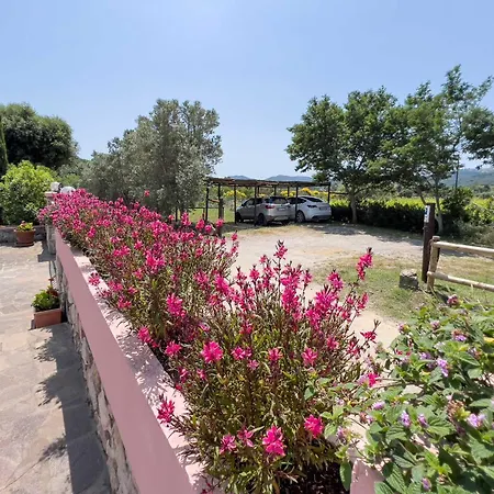 Tatil Evi Il Micio *
