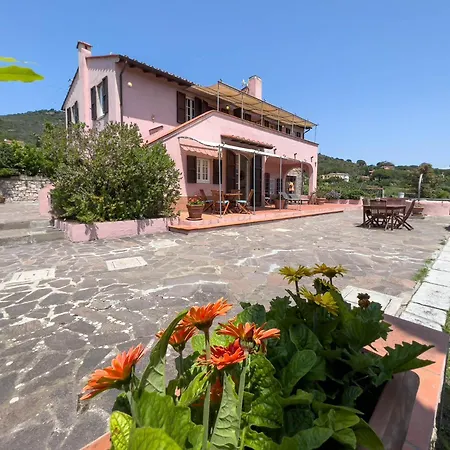 Il Micio Tatil Evi *