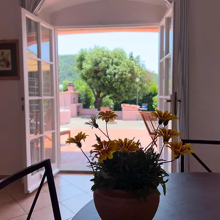 Il Micio Tatil Evi *