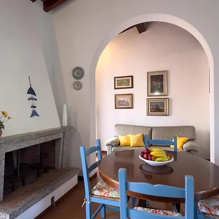 Tatil Evi Il Micio *