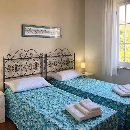 Tatil Evi Il Micio