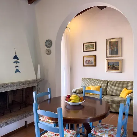 Tatil Evi Il Micio